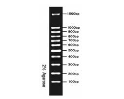 GF3001